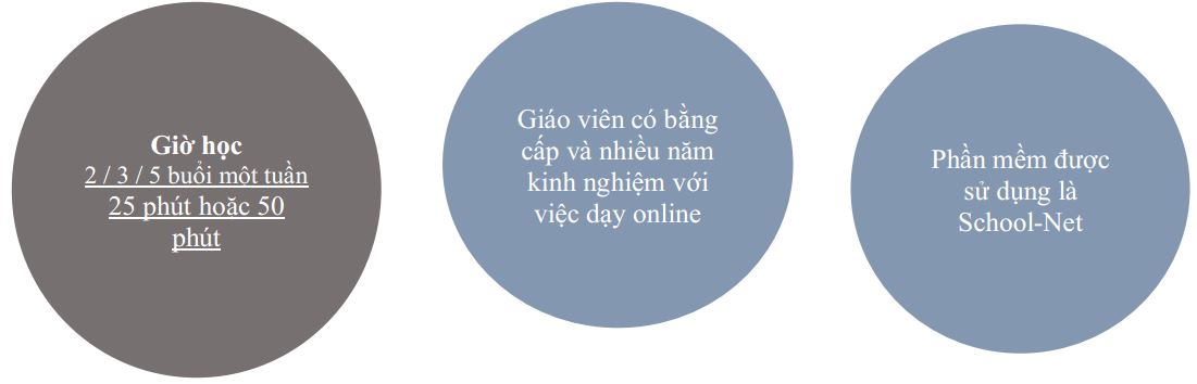 phương pháp giảng dạy online